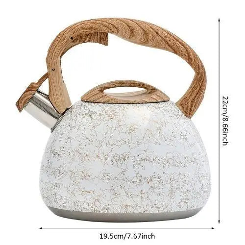 Bouilloire Design Moderne