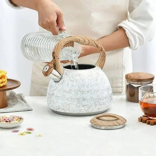Bouilloire Design Moderne