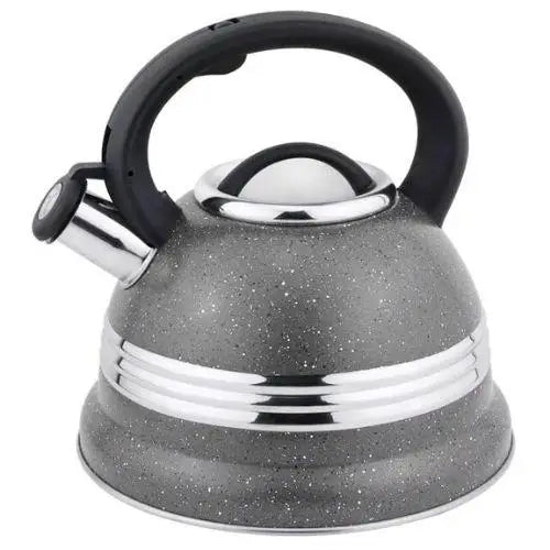 Bouilloire Sifflante Gris Vintage