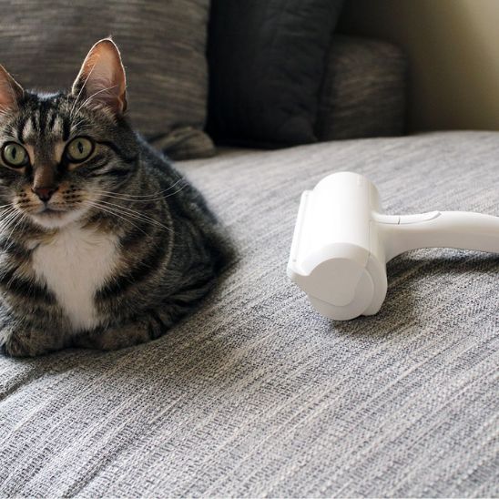 brosse pour chat | MAGICBRUSH
