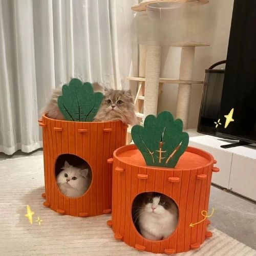 cabane pour chat carotte - Happy minet