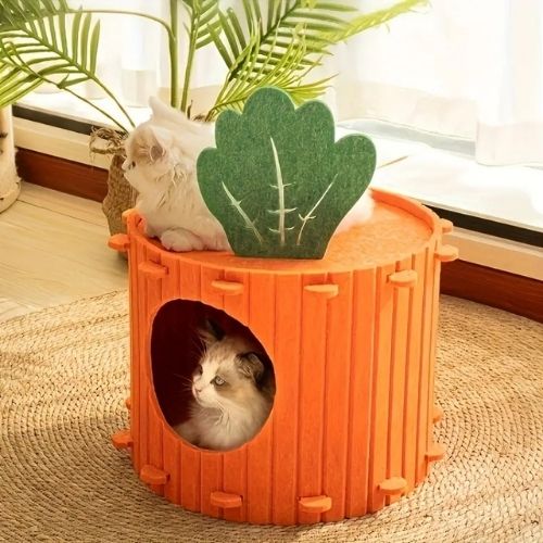 cabane pour chat carotte