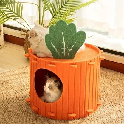 cabane pour chat carotte