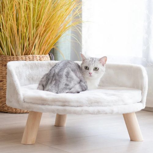 canapé pour chat surélevé luxe