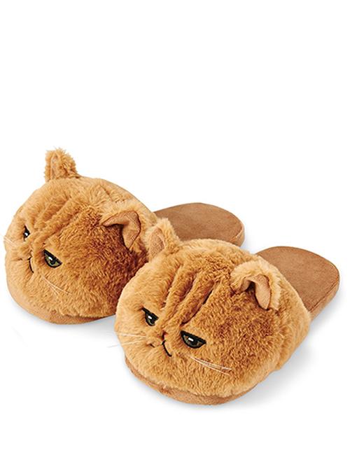 chausson chat
