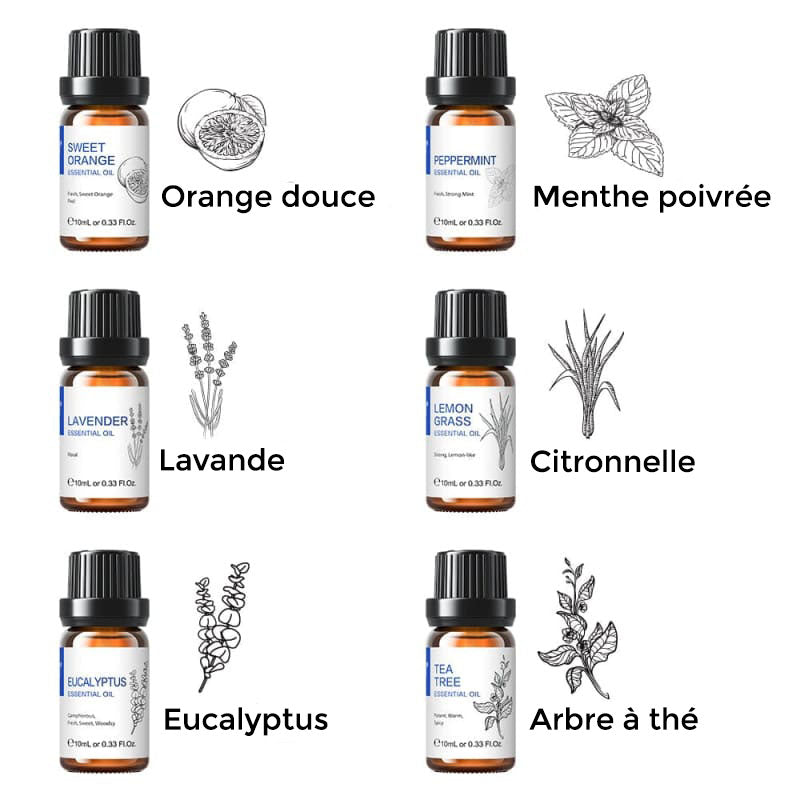 coffret cadeau huiles essentielles indispensables / Huiles essentielles anti-moustique (citronnelle) / Huiles essentielles anti-inflammatoires (tea tree et eucalyptus)
