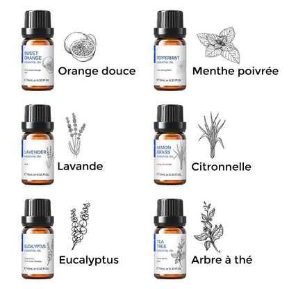 coffret cadeau huiles essentielles indispensables / Huiles essentielles anti-moustique (citronnelle) / Huiles essentielles anti-inflammatoires (tea tree et eucalyptus)