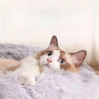 coussin chat | DODOCOSY