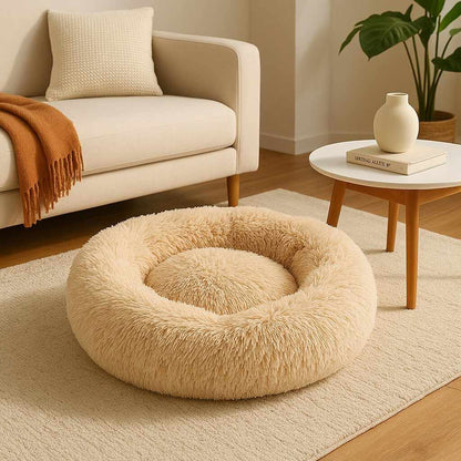 coussin chat | DODOCOSY