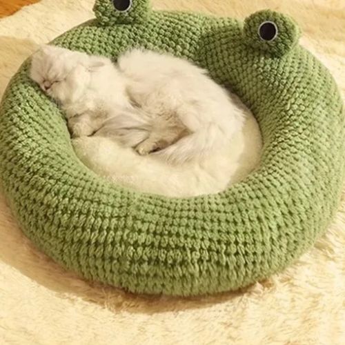 coussin chat | DODOFROG
