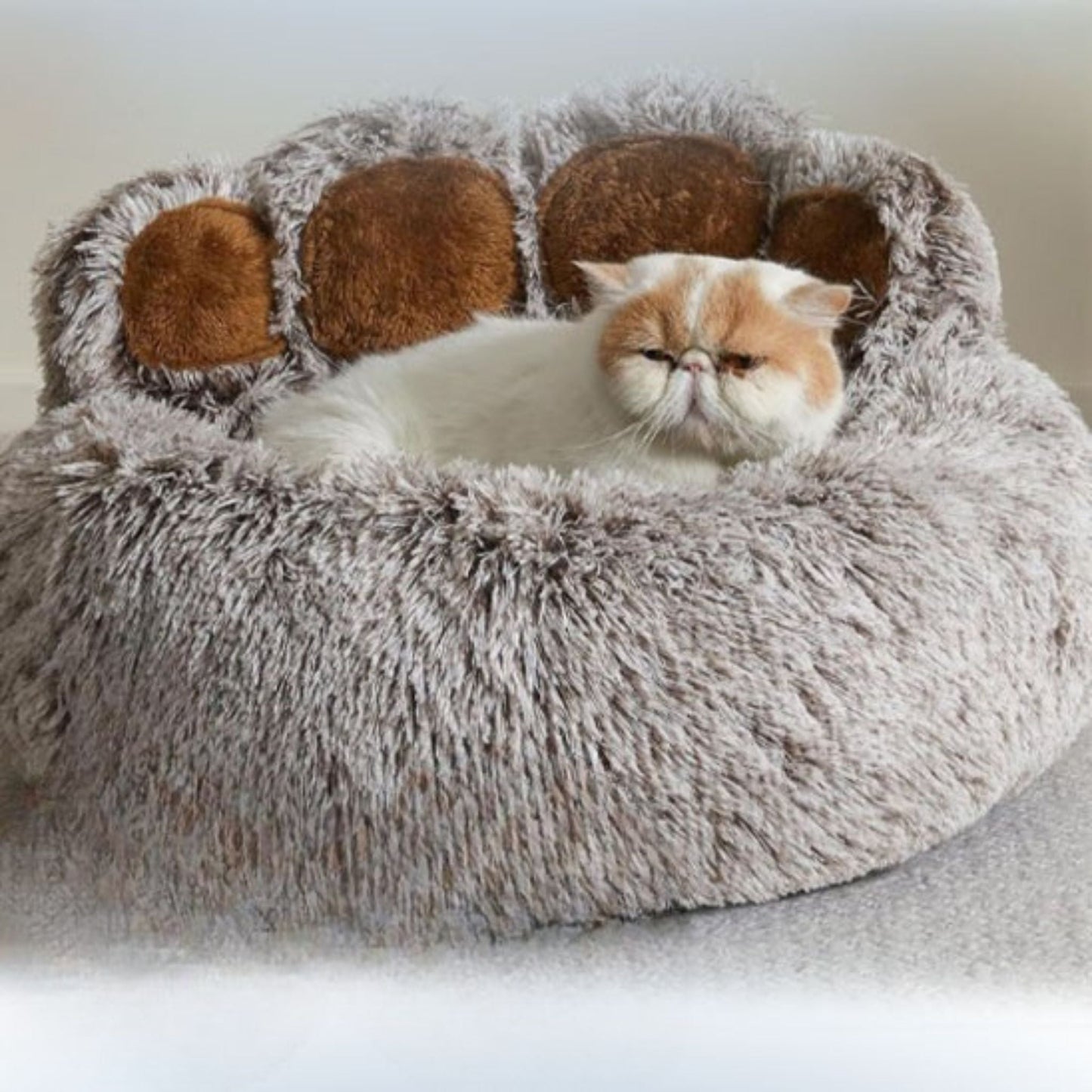coussin chat |DODOPATTE