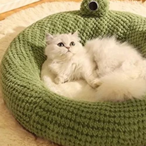 coussin chat | DODOFROG