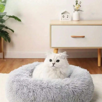 coussin chat | DODOCOSY