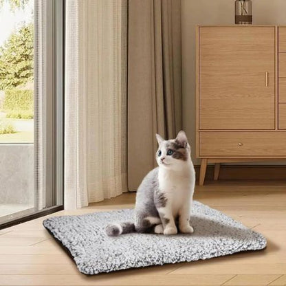 coussin chauffant chat doux
