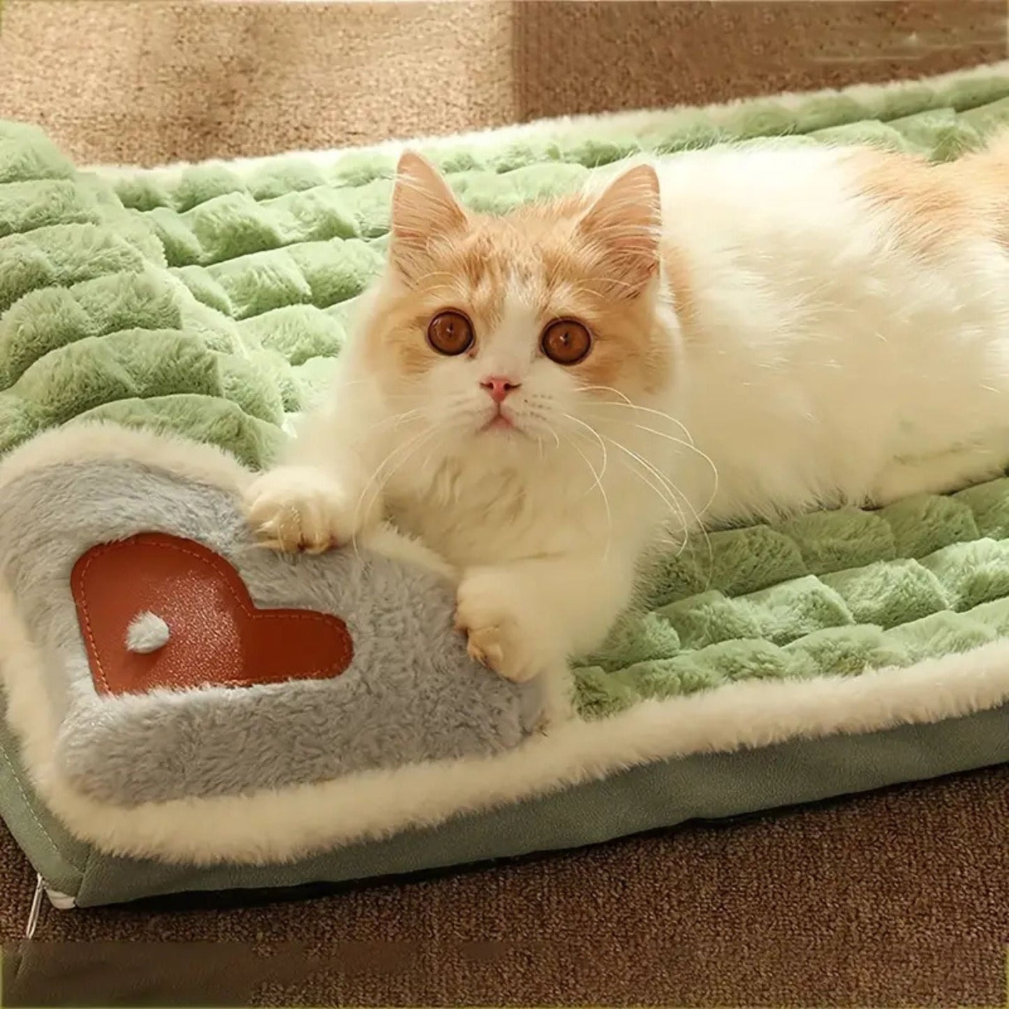 coussin pour chat DODOLUX