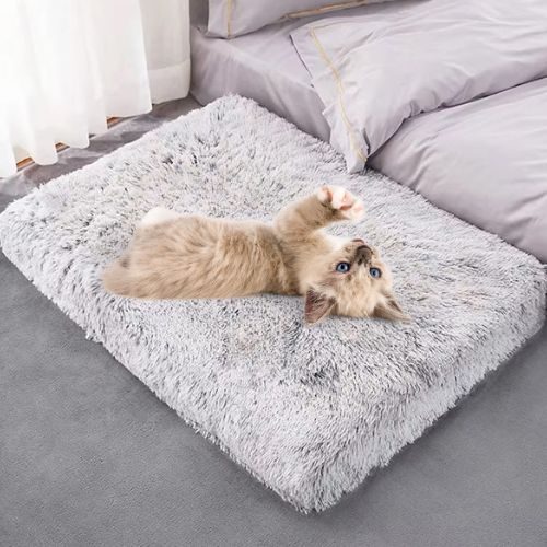coussin pour chat orthopédique