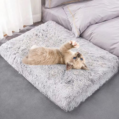 coussin pour chat orthopédique