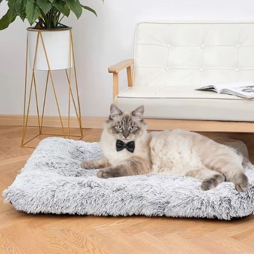 coussin pour chat orthopédique