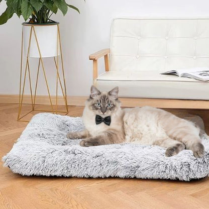 coussin pour chat orthopédique