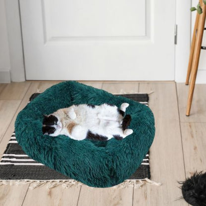 coussin pour chats apaisant - Happy minet