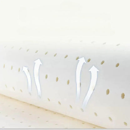 Coussin pour le dos lit en latex rafraîchissant