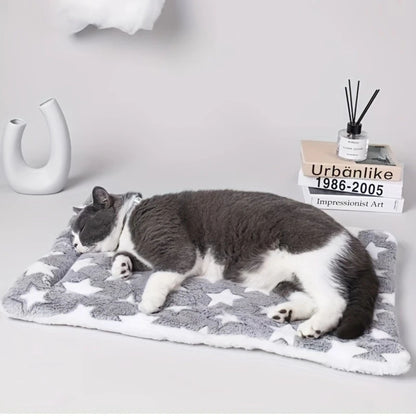 couverture pour chat | DODOCOUV'