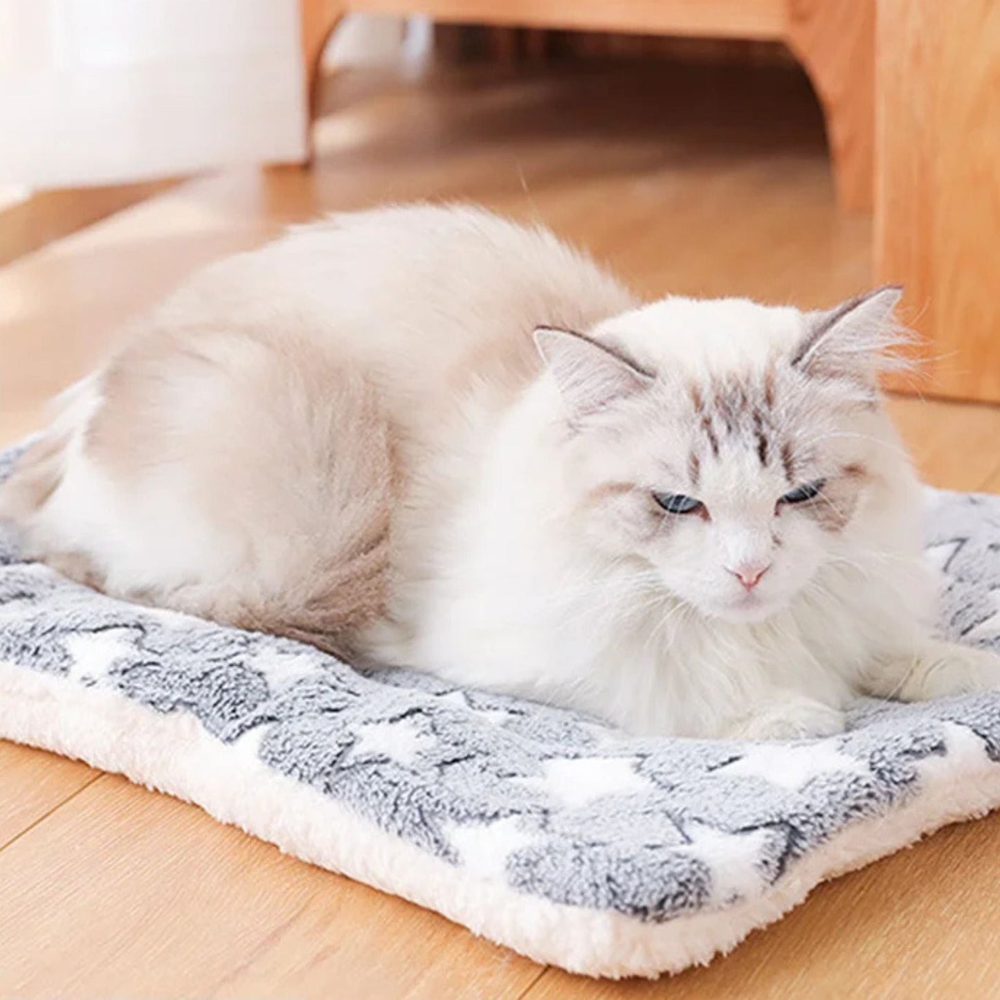 couverture pour chat | DODOCOUV'