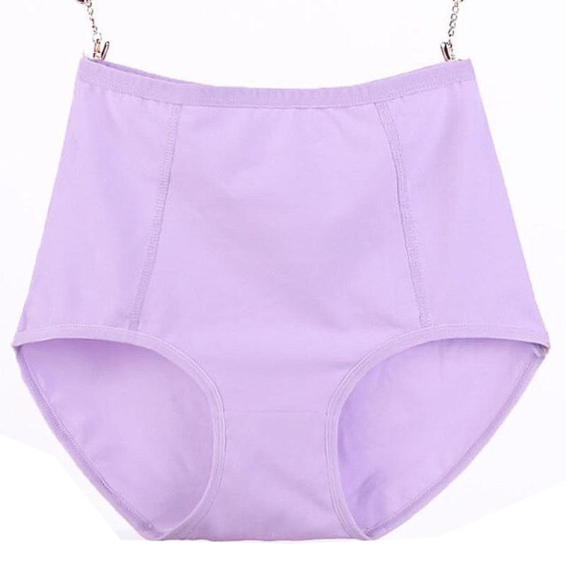 Culotte coton grande taille