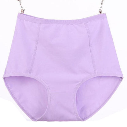 Culotte coton grande taille
