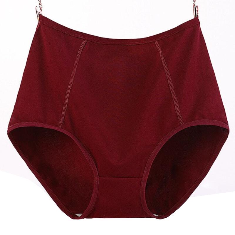 Culotte coton grande taille
