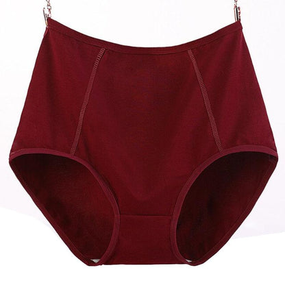 Culotte coton grande taille
