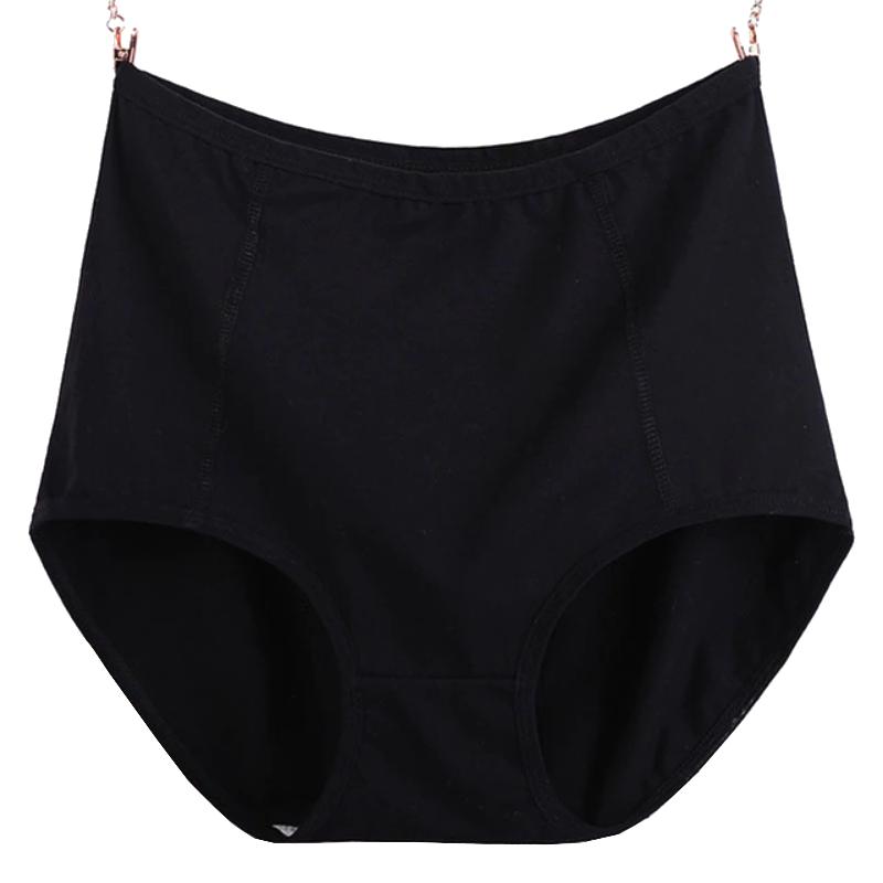 Culotte coton grande taille