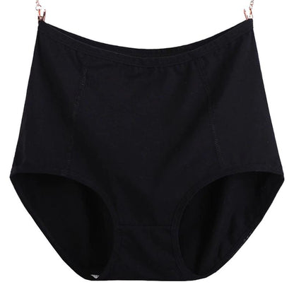 Culotte coton grande taille
