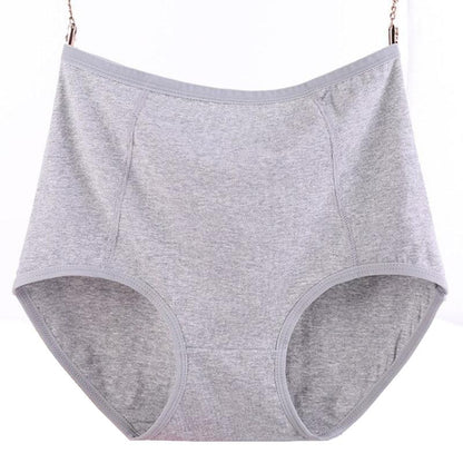 Culotte coton grande taille