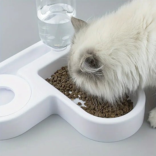 gamelle chat | ANGLE BOWL