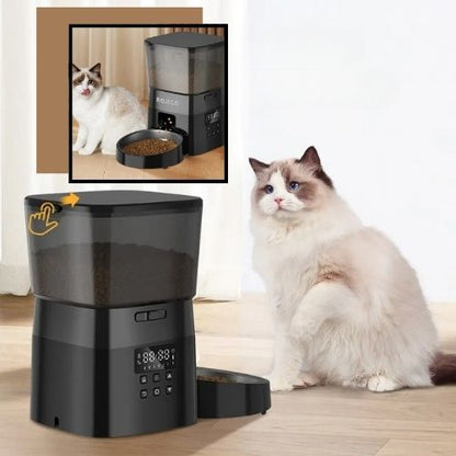 distributeur automatique croquettes chat intelligent