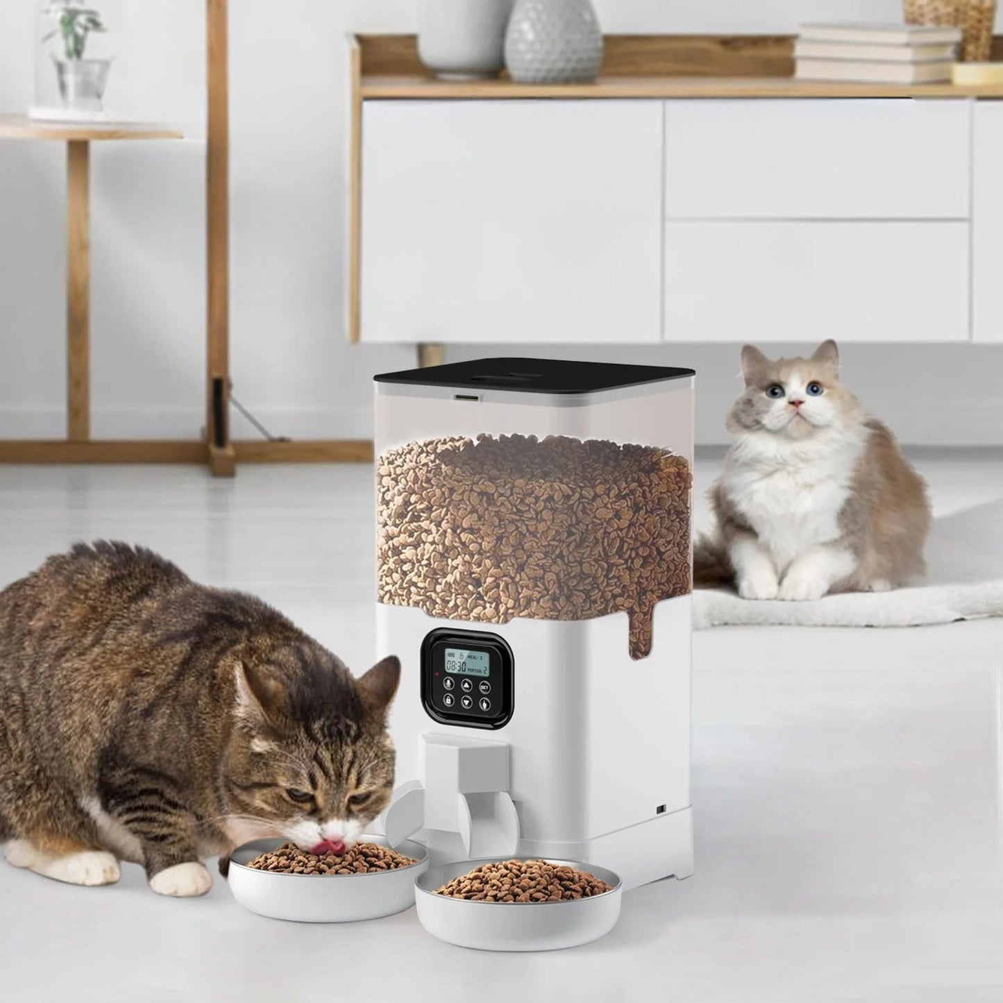 distributeur croquette chat | Duo Gourmand