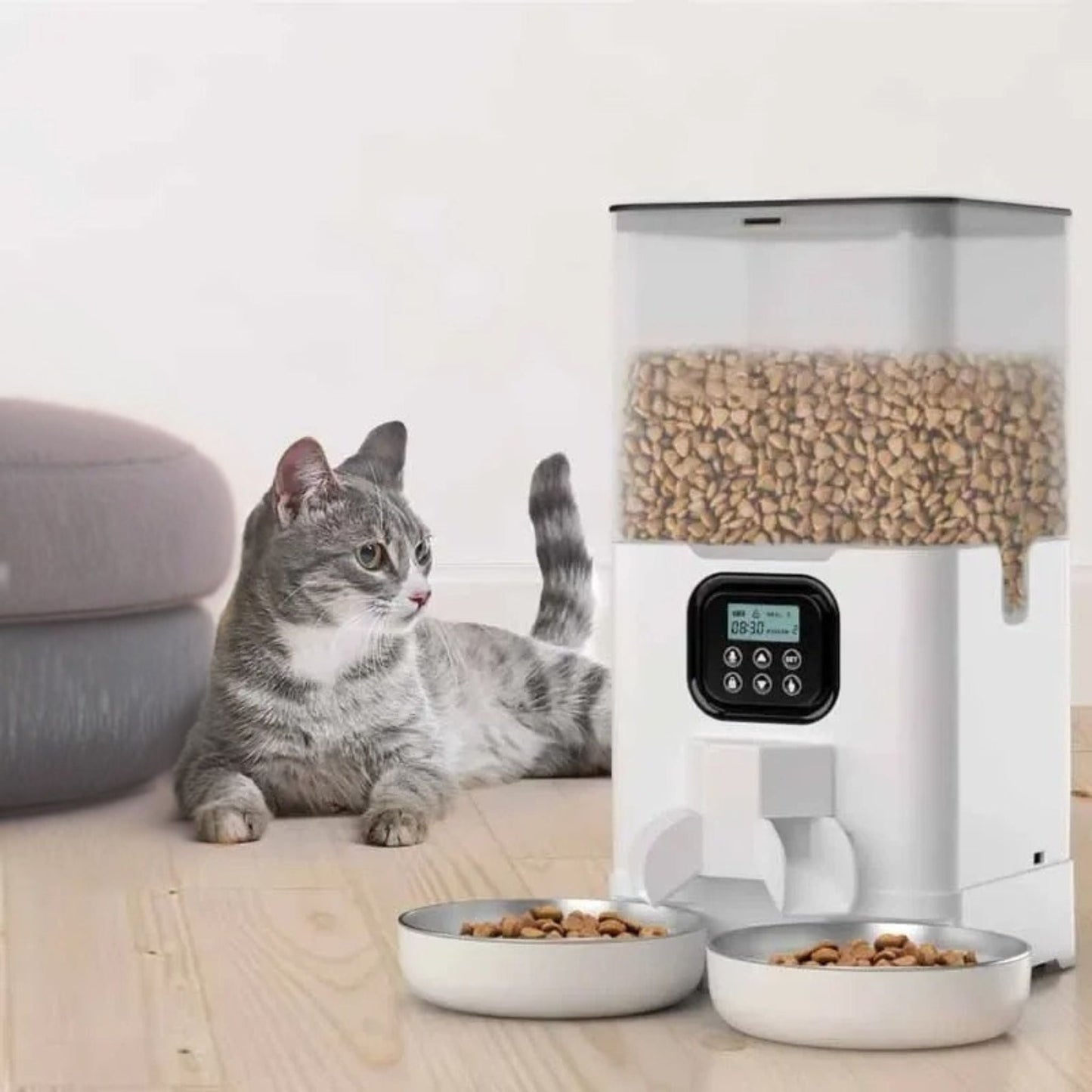distributeur croquette chat | Duo Gourmand