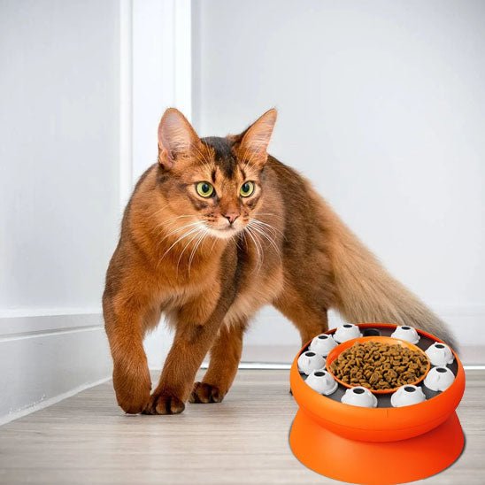 distributeur croquette chat | PUZZLEBOWL