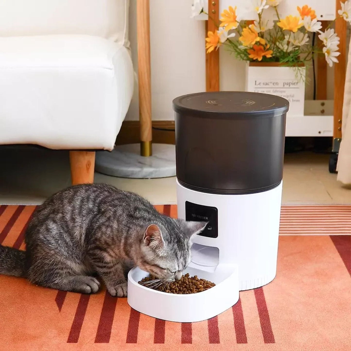 distributeur croquettes chat vidéo