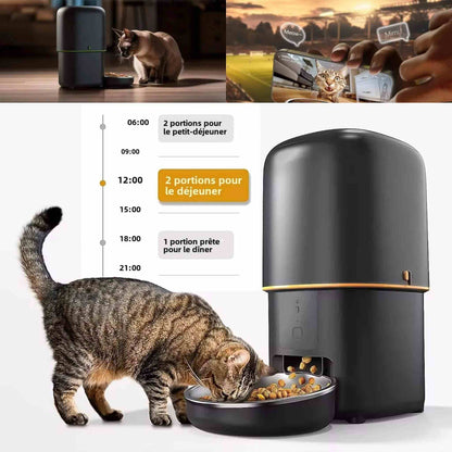 distributeur de croquettes chat | CatChef Automatique