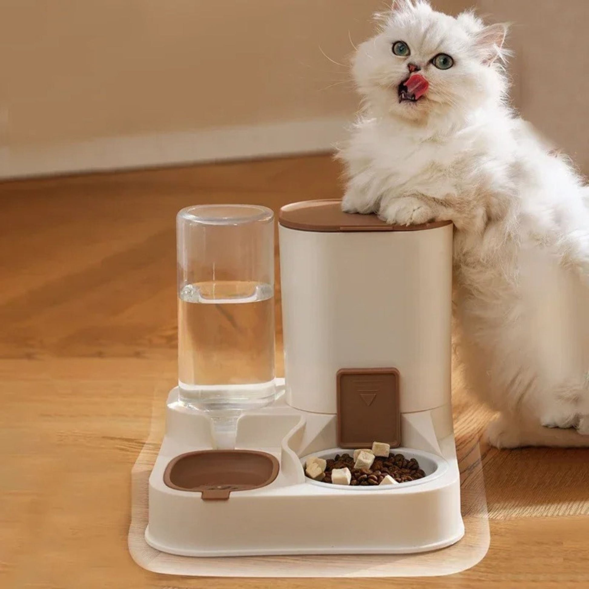distributeur de croquettes chat | FACIL'DISTRI - Happy minet