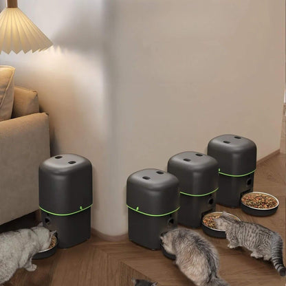 distributeur de croquettes chat | CatChef Automatique