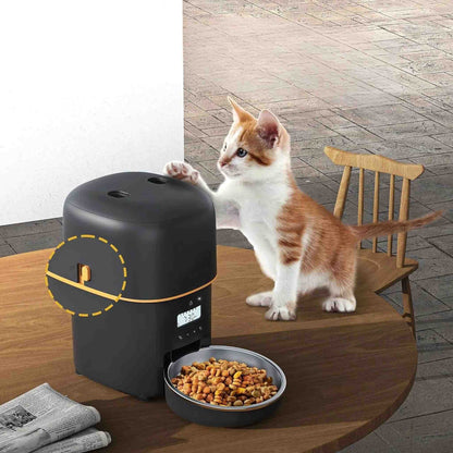 distributeur de croquettes chat | CatChef Automatique