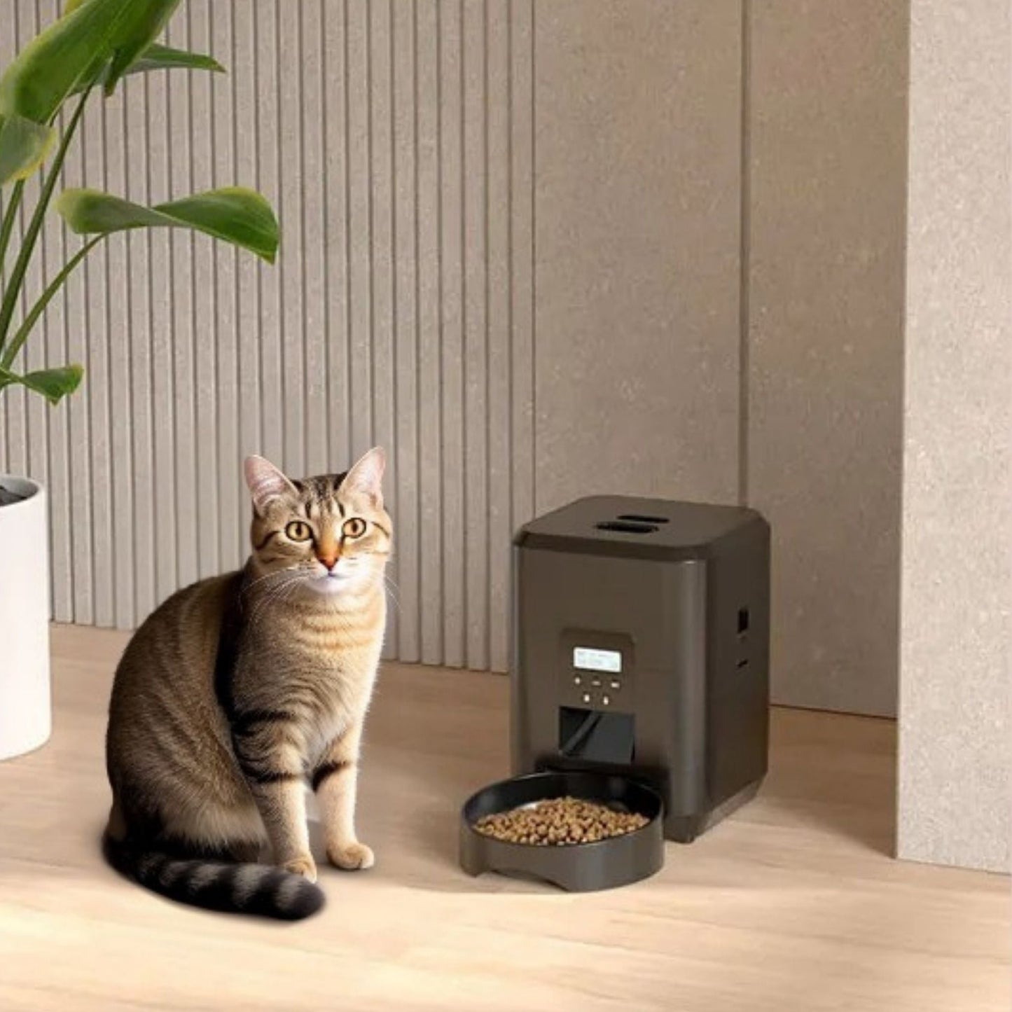 distributeur de croquettes pour chat | Gourmet Bot