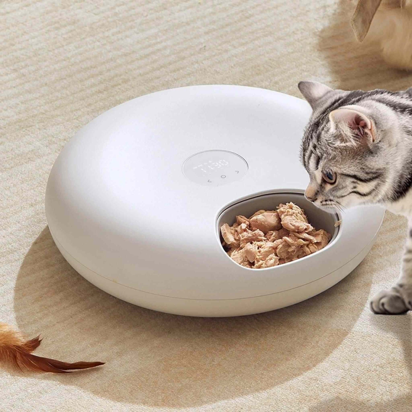 DISTRIBUTEUR DE PATEE POUR CHAT | Gourmet Frigo