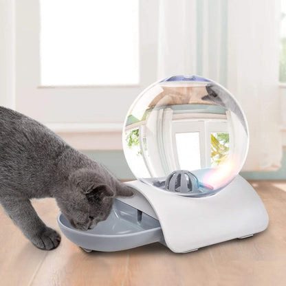 distributeur eau pour chat | ChatOasis
