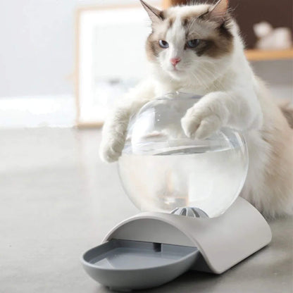distributeur eau pour chat | ChatOasis