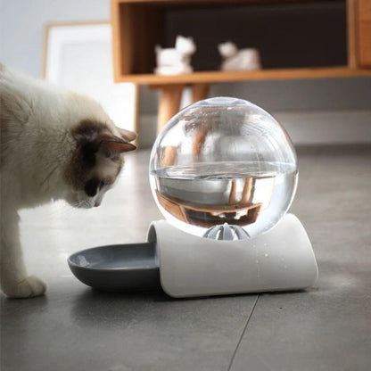 distributeur eau pour chat | ChatOasis