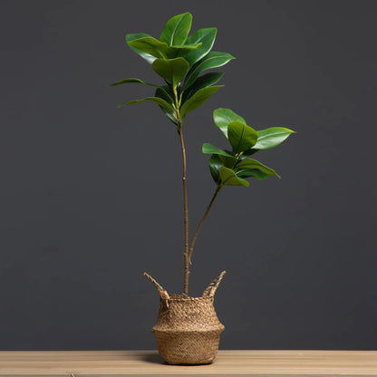 Fausse Plante Extérieur Décorative avec Panier
